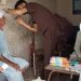 Your Compassion in Action: Bringing Free Healthcare to Families in Cholistan